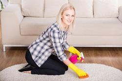 Rug Cleaning Agency in Kentish Town, NW5